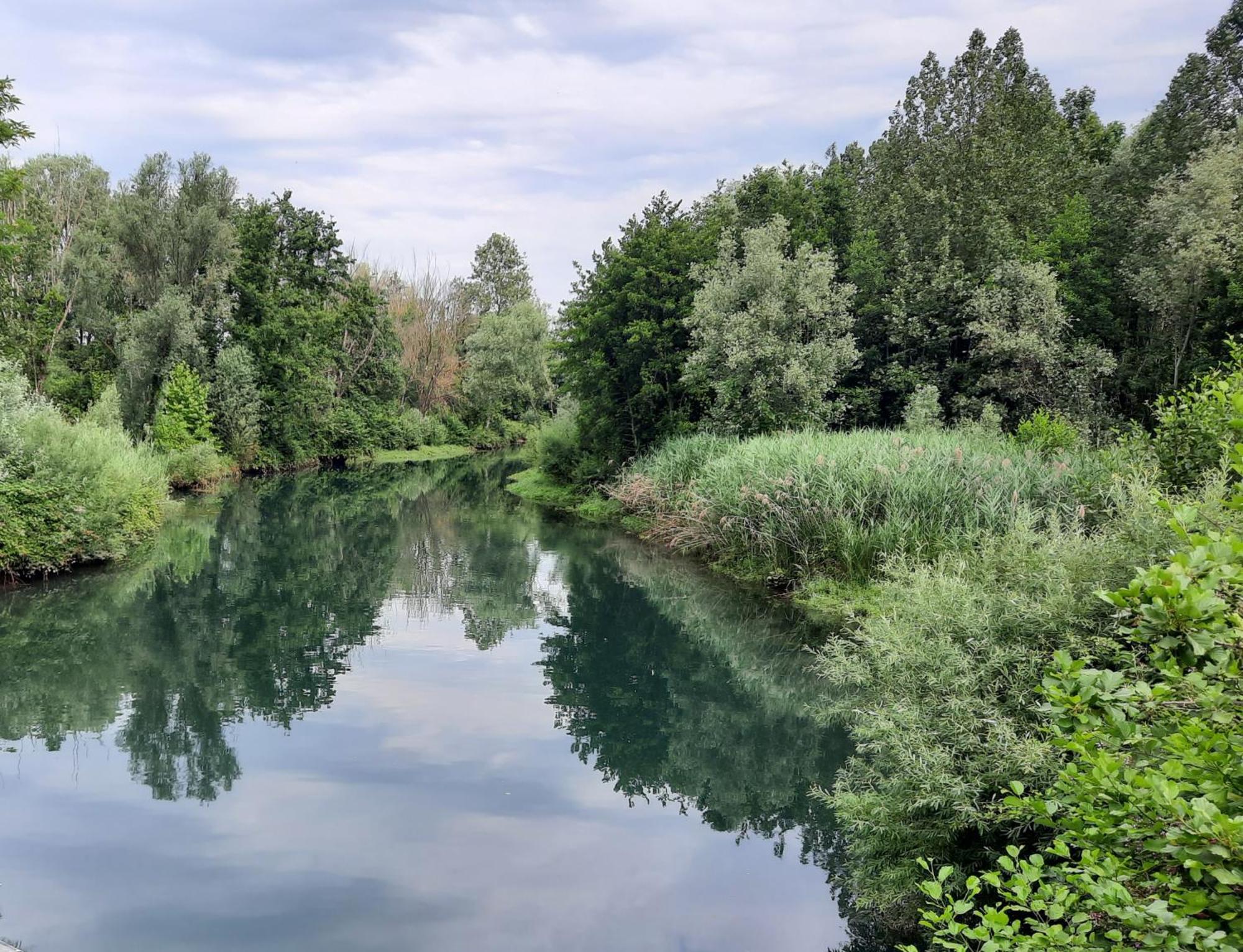 Siore Marie Gli Alloggi San Giórgio di Nogaro Εξωτερικό φωτογραφία